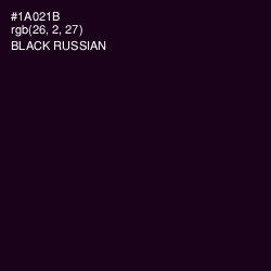 #1A021B - Black Russian Color Image